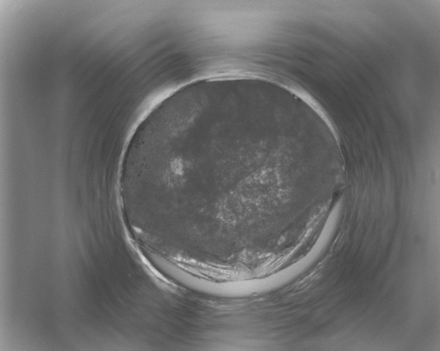 X0000056331485200509232000