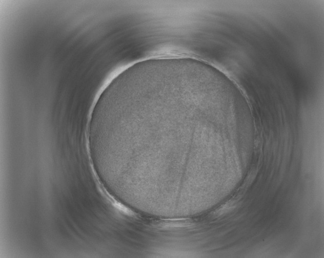 X0000056331486200509232000