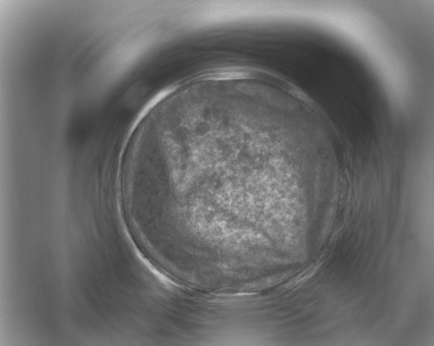 X0000056331487200509232000