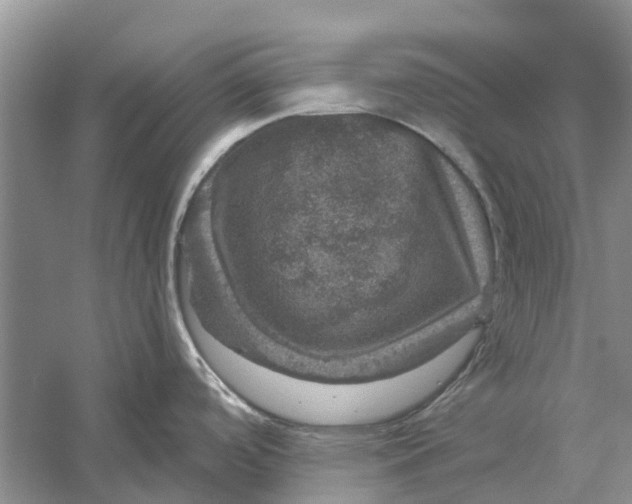 X0000056331488200509231959