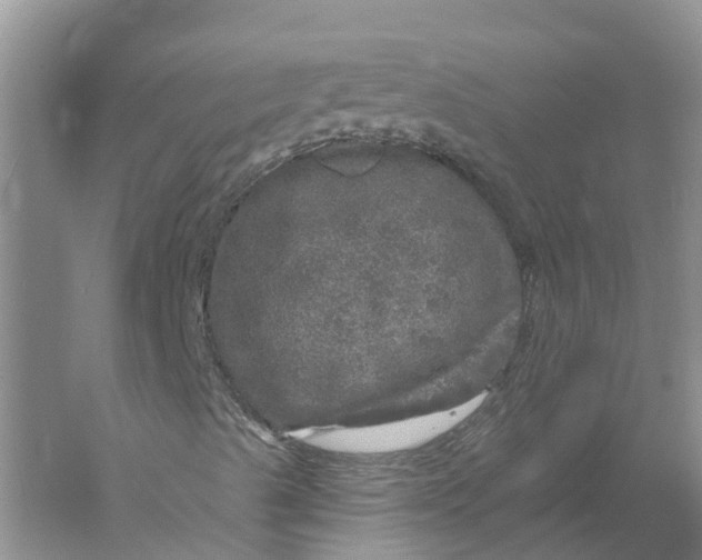 X0000056331489200509231959