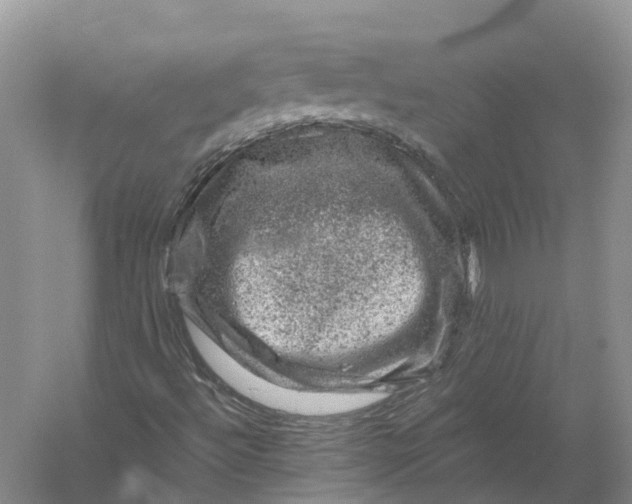 X0000056331492200509231959