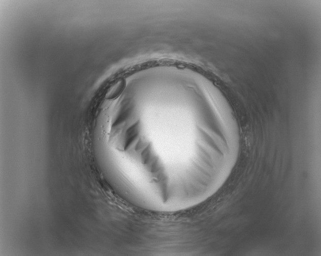 X0000056331495200509231959