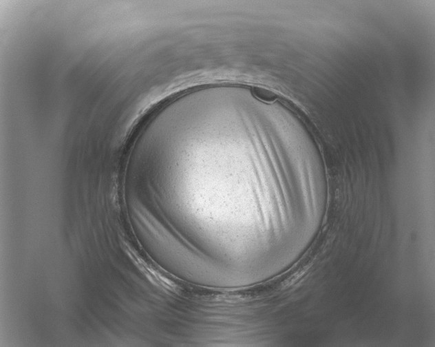 X0000056331499200509231959