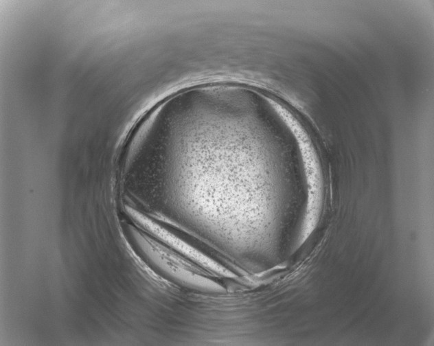 X0000056331500200509231959