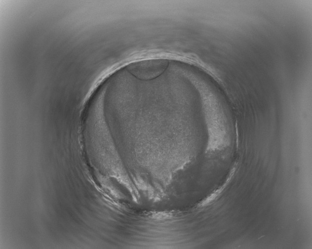 X0000056331501200509231959