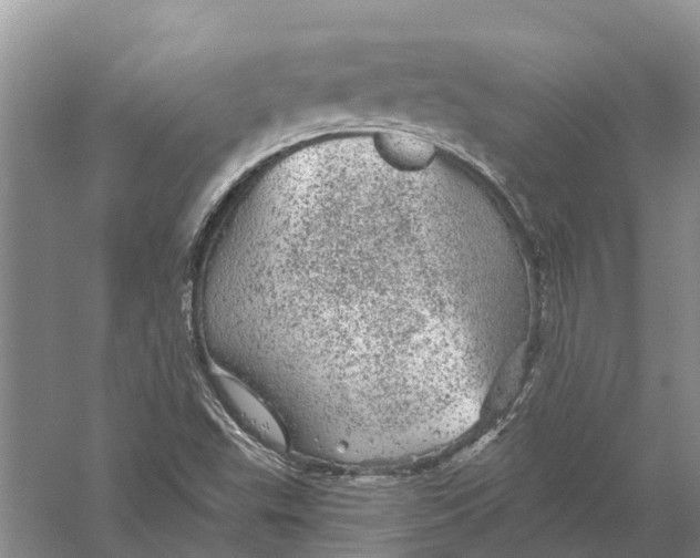 X0000056331503200509231959