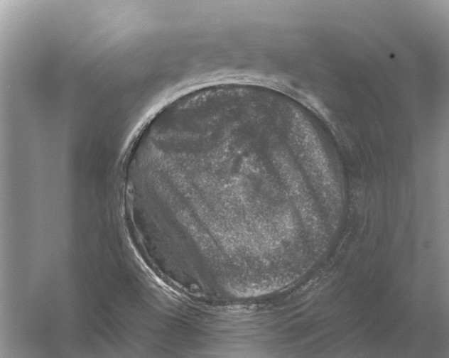 X0000056331504200509231959