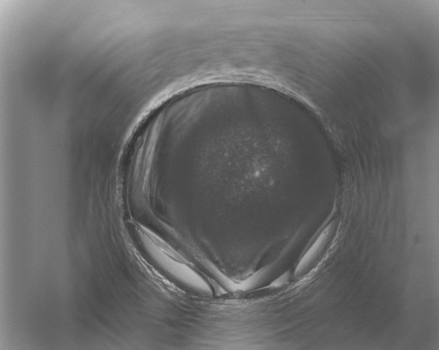 X0000056331506200509231959