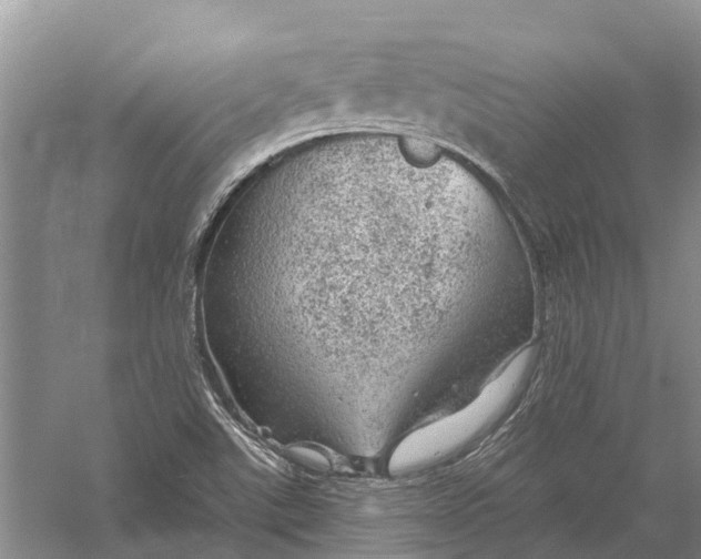 X0000056331507200509231959