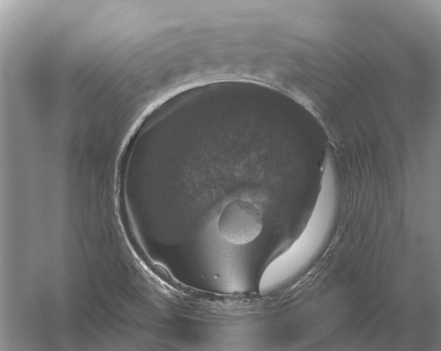 X0000056331508200509231959