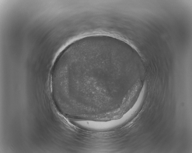 X0000056331510200509231959