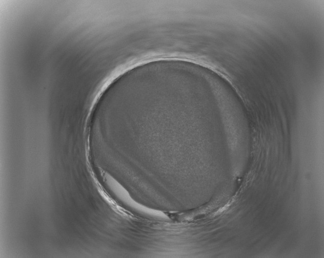 X0000056331511200509231959