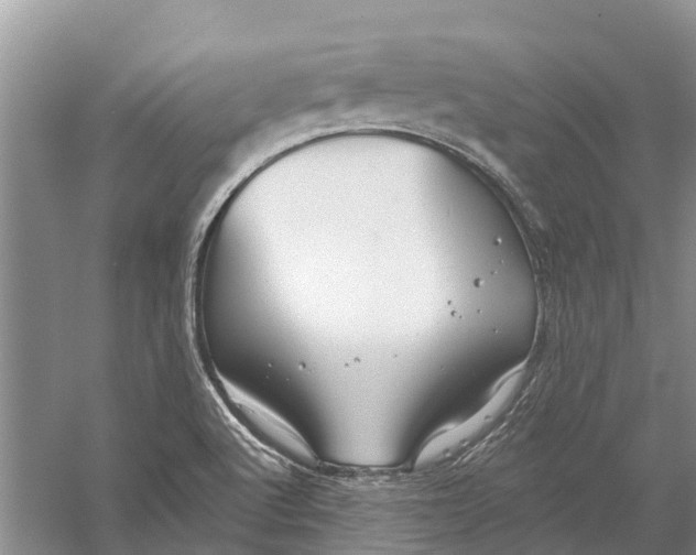 X0000056331512200509231959