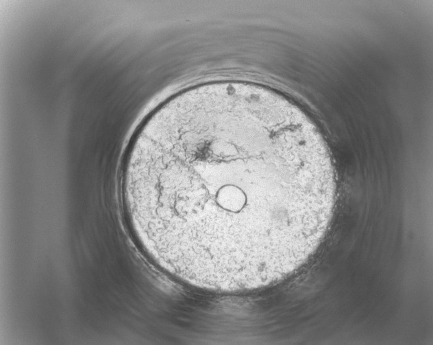 X0000056331514200509231959