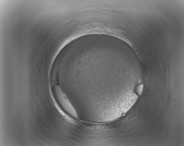 X0000056331515200509231959