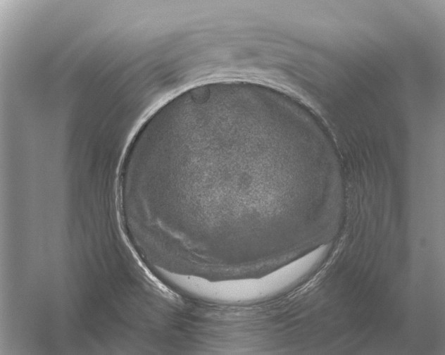 X0000056331517200509231959