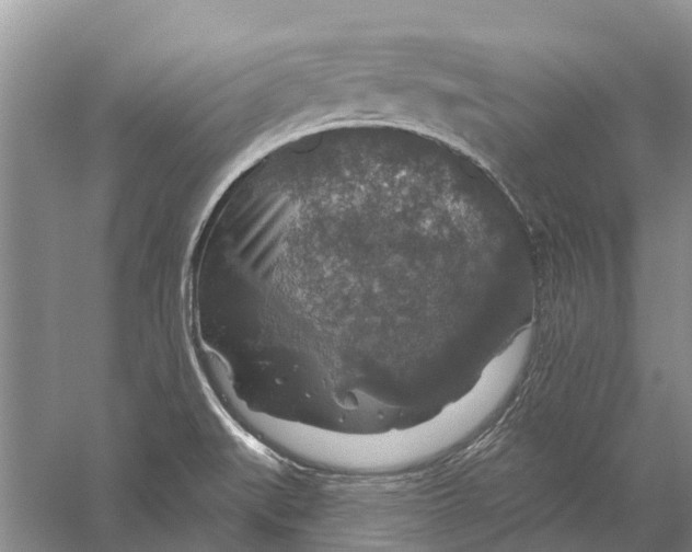 X0000056331519200509231959