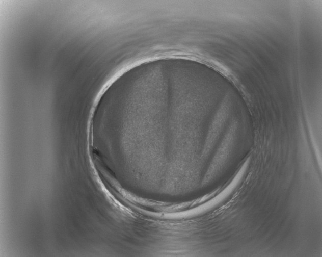 X0000056331520200509231959