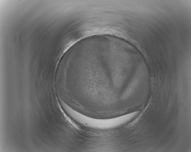 X0000056331521200509231959