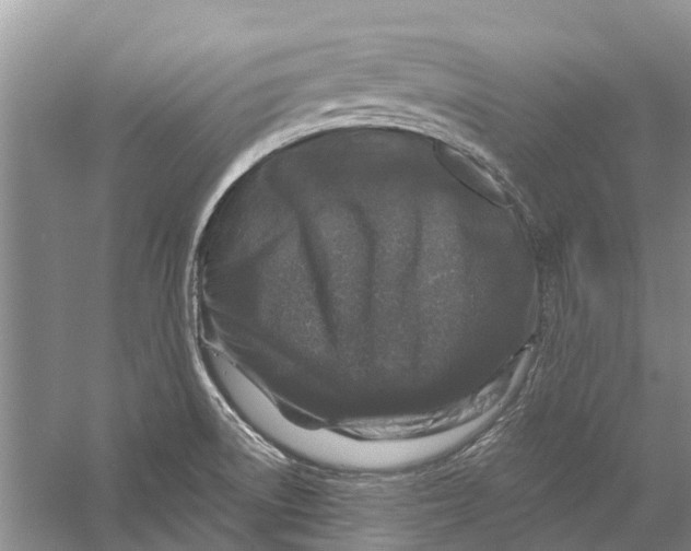 X0000056331522200509231959