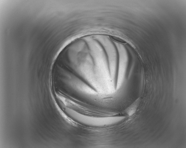 X0000056331523200509231959