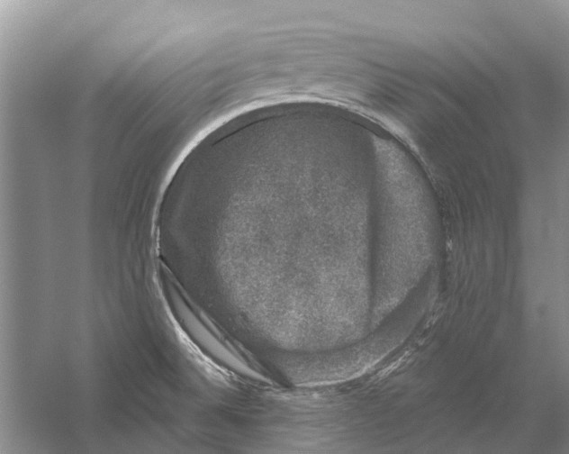 X0000056331524200509231959