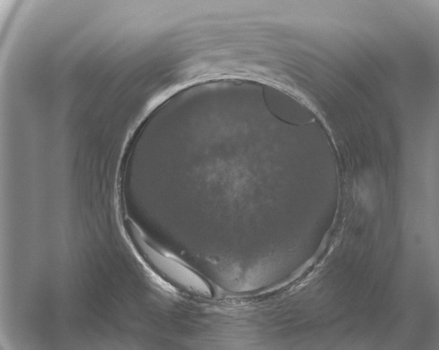 X0000056331525200509231959