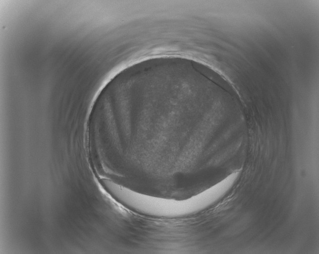 X0000056331527200509231959