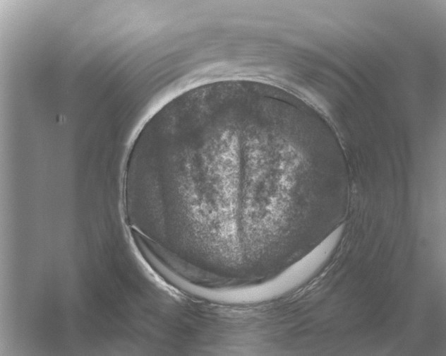 X0000056331528200509231959