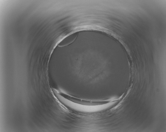 X0000056331529200509231959