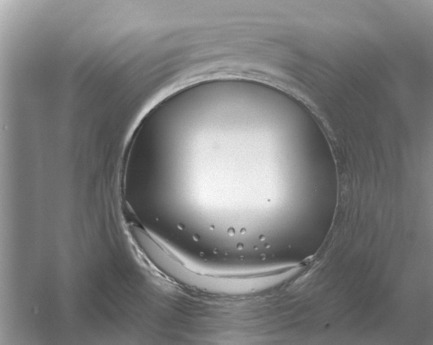 X0000056331530200509231959