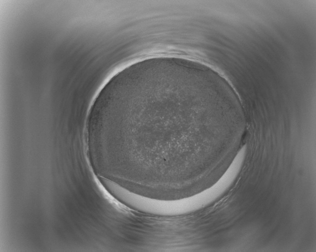 X0000056331531200509231959