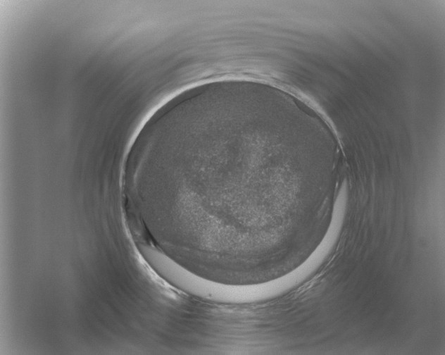 X0000056331532200509231959