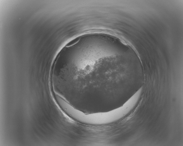 X0000056331533200509231959