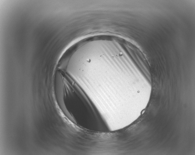 X0000056331534200509231959