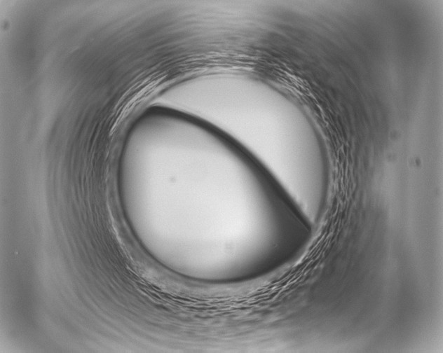 X0000056340001200508260902