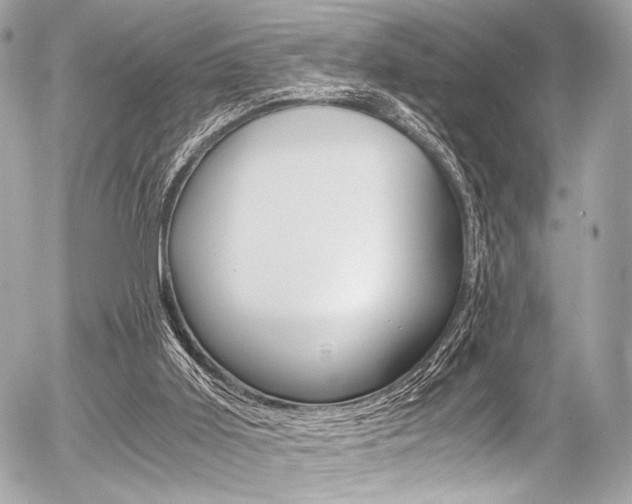 X0000056340011200508260902