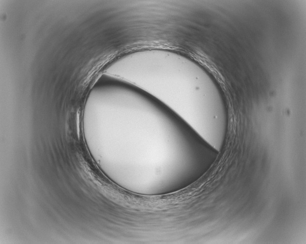 X0000056340014200508260902