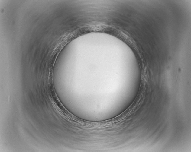 X0000056340018200508260902