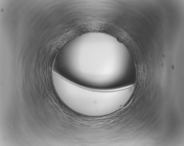 X0000056340029200508260902