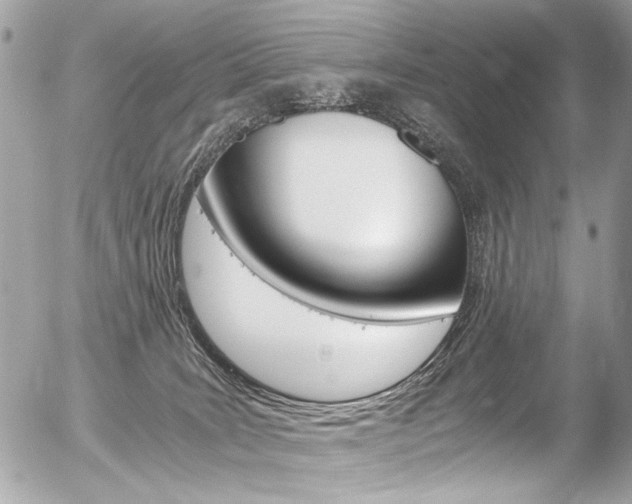 X0000056340035200508260902