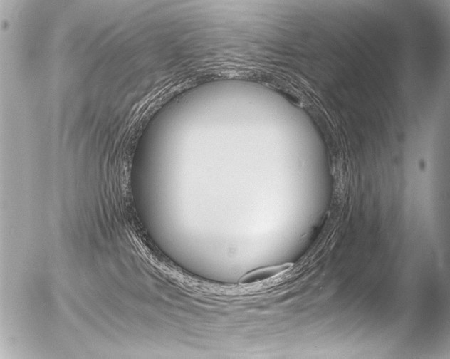 X0000056340043200508260902