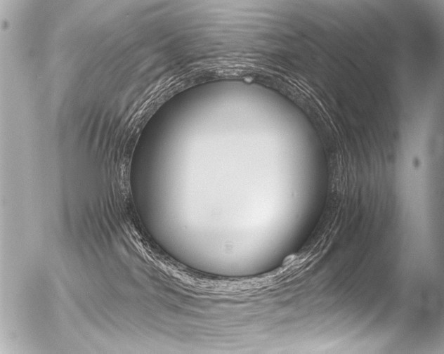X0000056340044200508260902