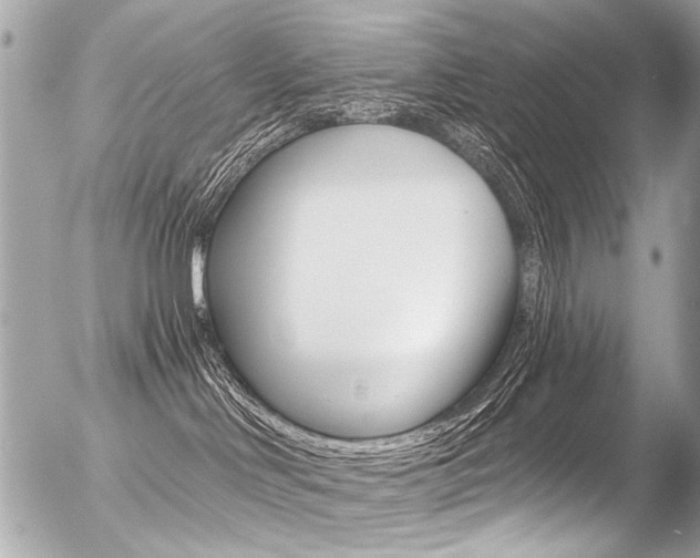 X0000056340046200508260902