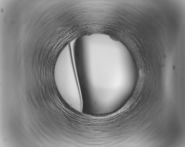 X0000056340048200508260902