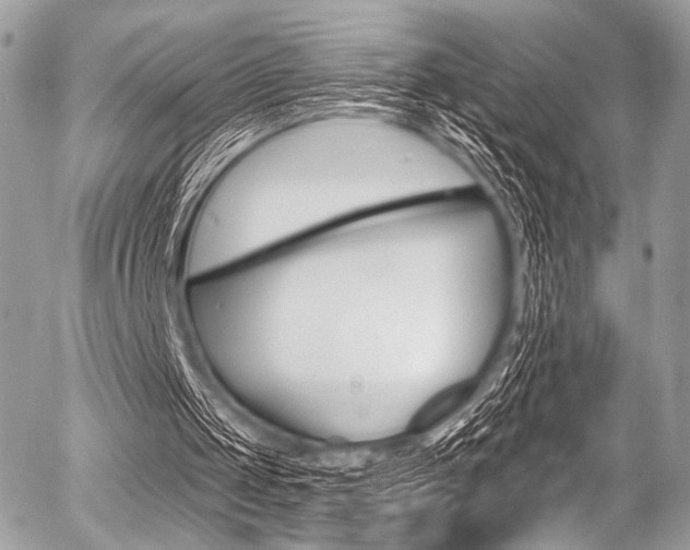 X0000056340049200508260901