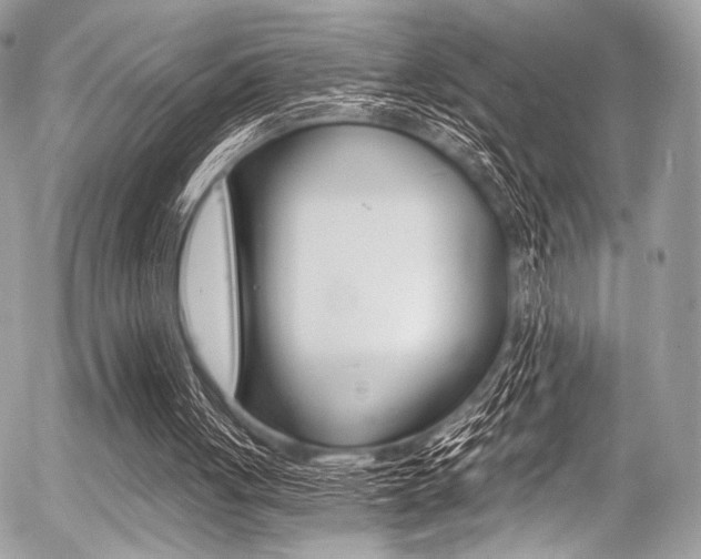 X0000056340051200508260901