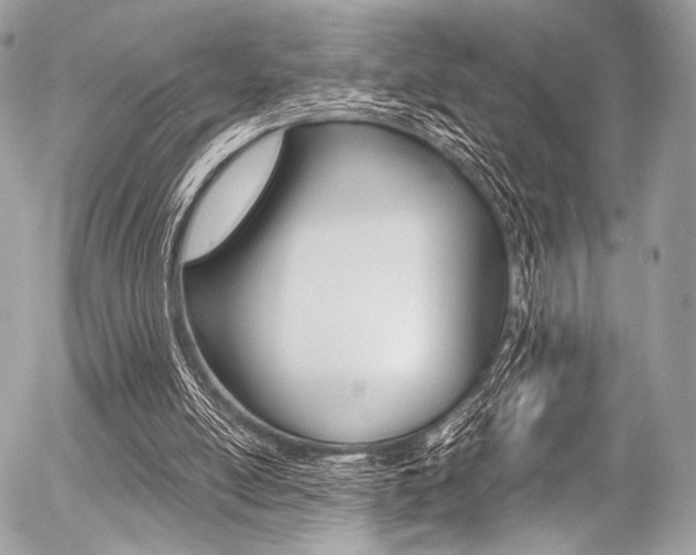 X0000056340054200508260901