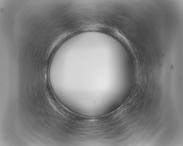 X0000056340059200508260901